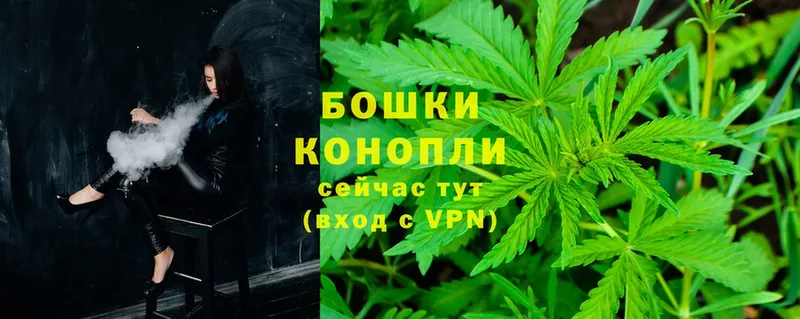 магазин  наркотиков  Никольское  Каннабис OG Kush 